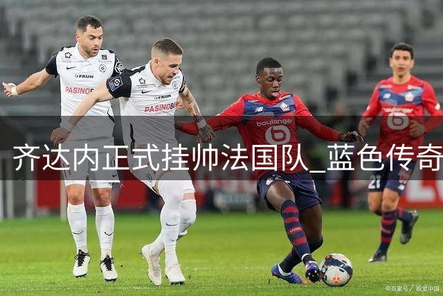 齐达内正式挂帅法国队 蓝色传奇开启执教新篇章